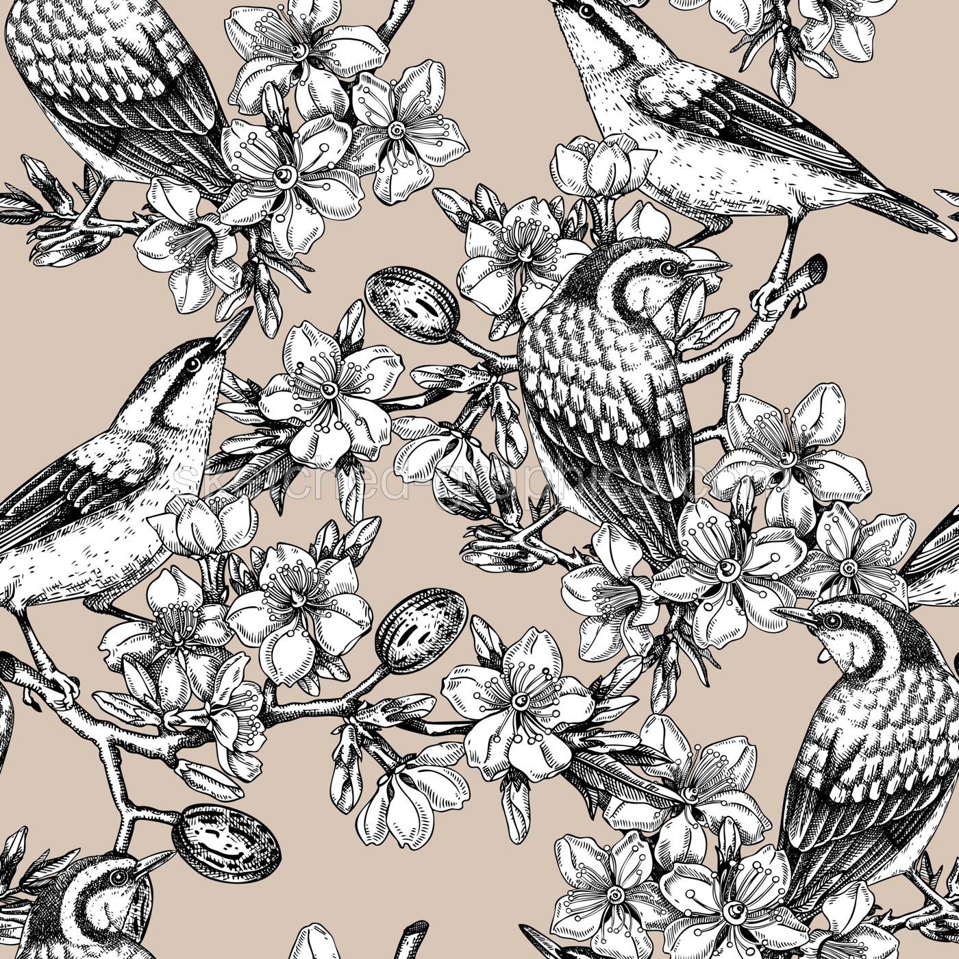 Nuthatches sitting on flowering almond branch design. Vector spring seamless pattern. Hand drawn passerine birds on blooming tree with nuts, leaves and flowers background. Delicate floral backdrop Illustration